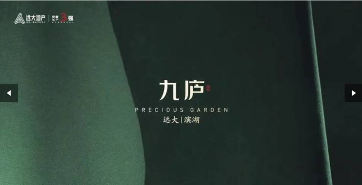 合肥远大九庐_售楼热线开通_二月热销户型深度评测_房源实时动态_最新资讯(图5)