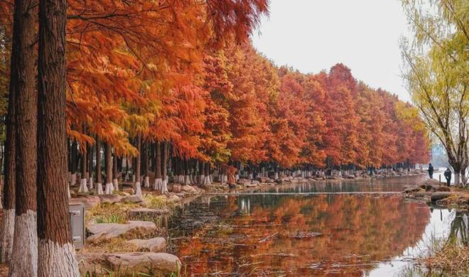 聚焦象屿天誉东方售楼处发布：天誉东方最后席位热销中(图10)