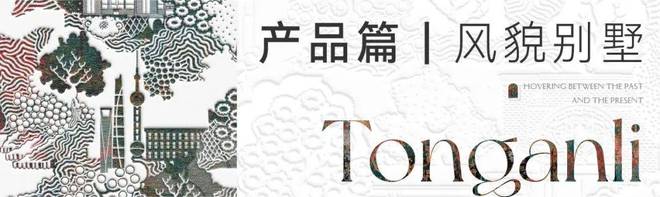 【炸场】桐安里售楼处杨浦桐安里发布：成就传奇!(图2)