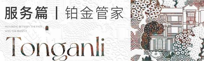 【炸场】桐安里售楼处杨浦桐安里发布：成就传奇!(图13)