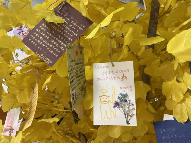 “毛孩子”的身后事里藏着大生意(图3)