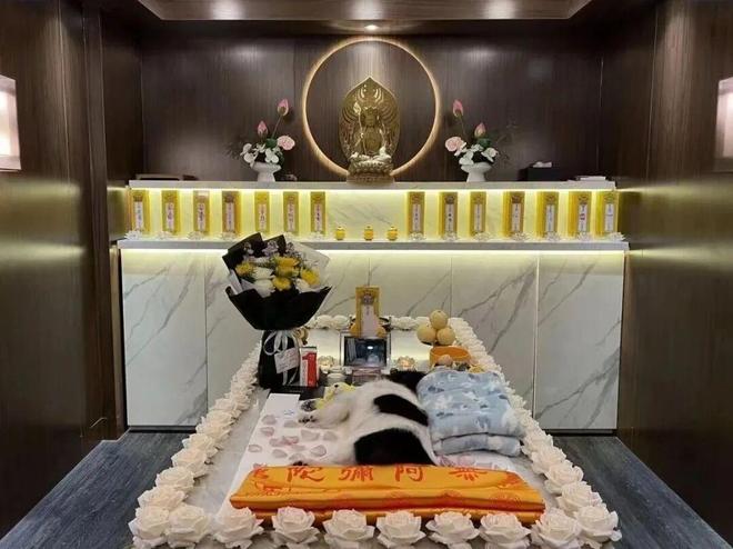 “毛孩子”的身后事里藏着大生意