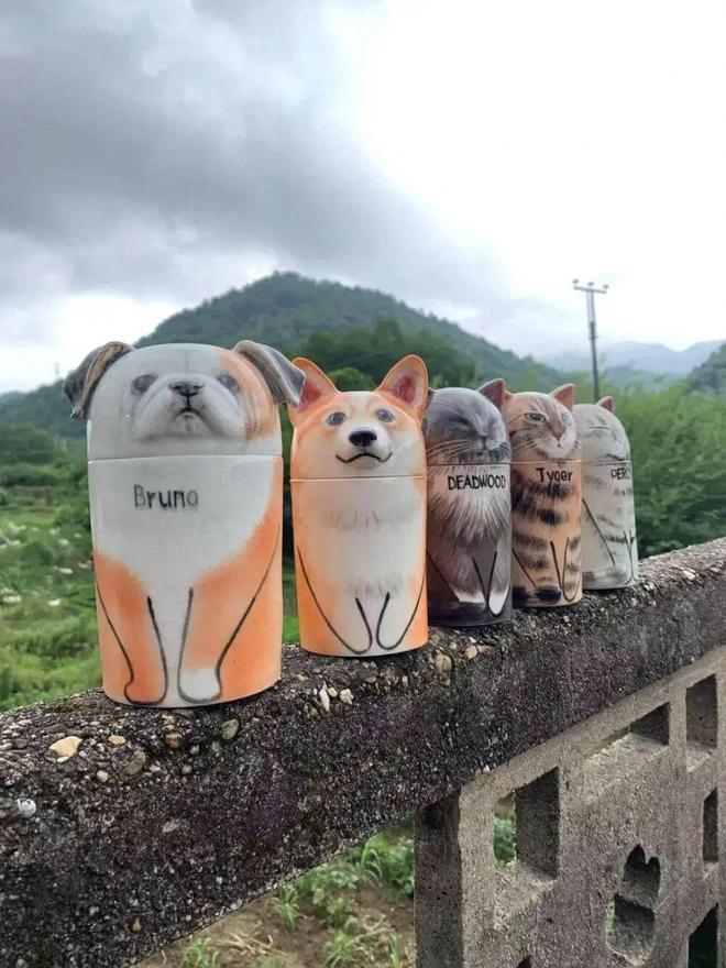 “毛孩子”的身后事里藏着大生意(图6)