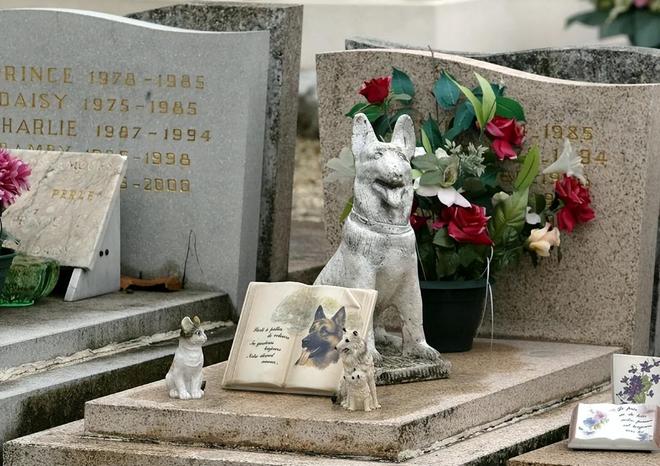 “毛孩子”的身后事里藏着大生意(图10)