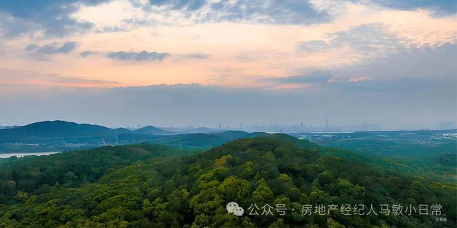 ⚡通告｜东湖高新区·融创武汉桃花源售楼处电话-楼盘百科(图9)