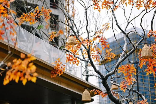 多项新开创征服灵宝我被五线县城这个楼盘震撼到了(图4)