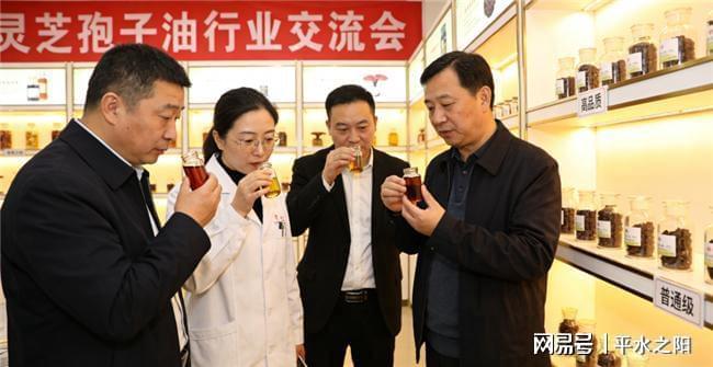 灵芝孢子油哪个好吃2026年高灵芝五大品牌深度解析与选购指南(图2)