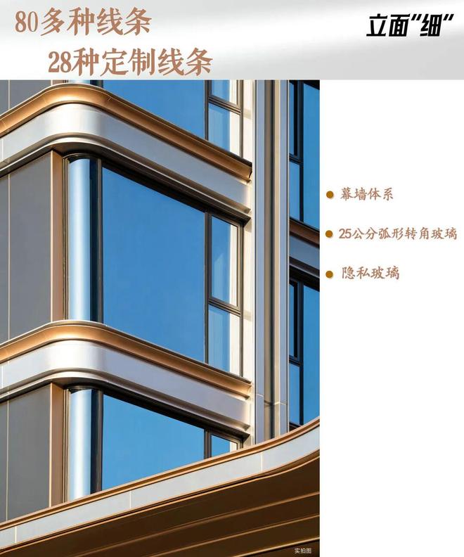 天津豪宅开年的“第一把火”一鸣惊人！(图3)