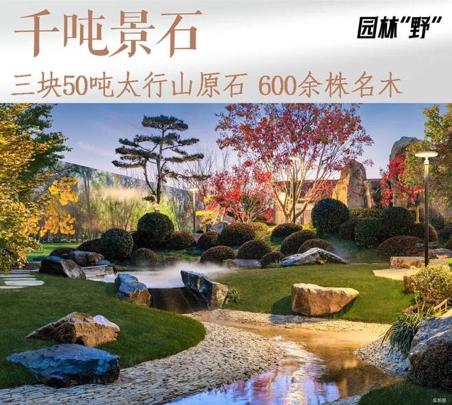 天津豪宅开年的“第一把火”一鸣惊人！(图5)