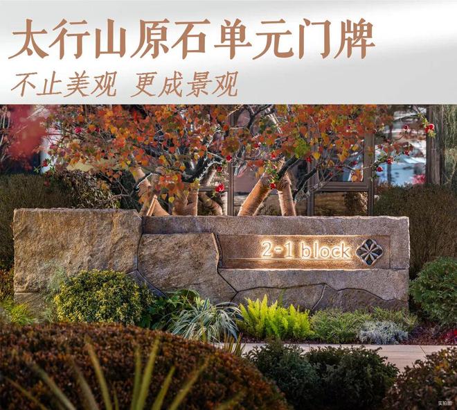 天津豪宅开年的“第一把火”一鸣惊人！(图12)