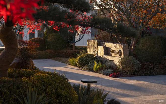 天津豪宅开年的“第一把火”一鸣惊人！(图13)