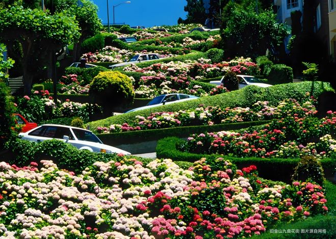 发布@康定壹拾玖售楼处电线康定壹拾玖燃爆购房热度(图17)